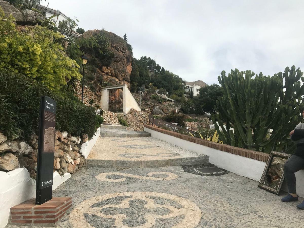 فيلا Algarabi فريجيليانا المظهر الخارجي الصورة